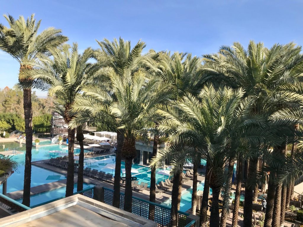 Pool view from suite in scottsdale