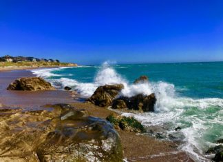 What To Do in Cambria, CA